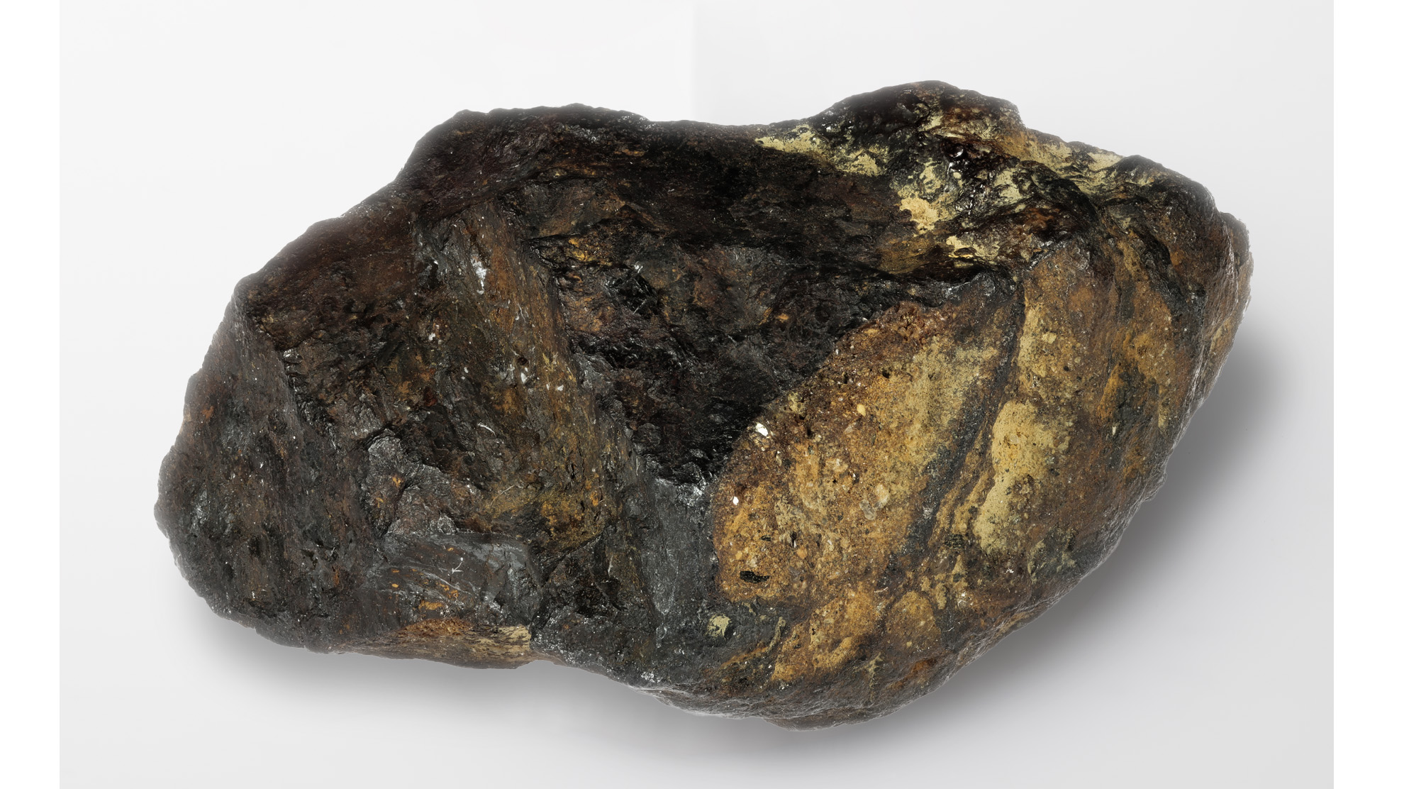ルノータス　メテオライト　隕石